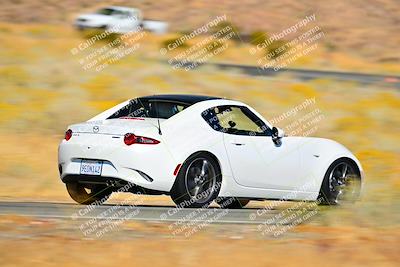 media/Nov-16-2024-Extreme Speed (Sat) [[6587d07cc4]]/Gold Group/Session 2 (Turns 3 and 5)/